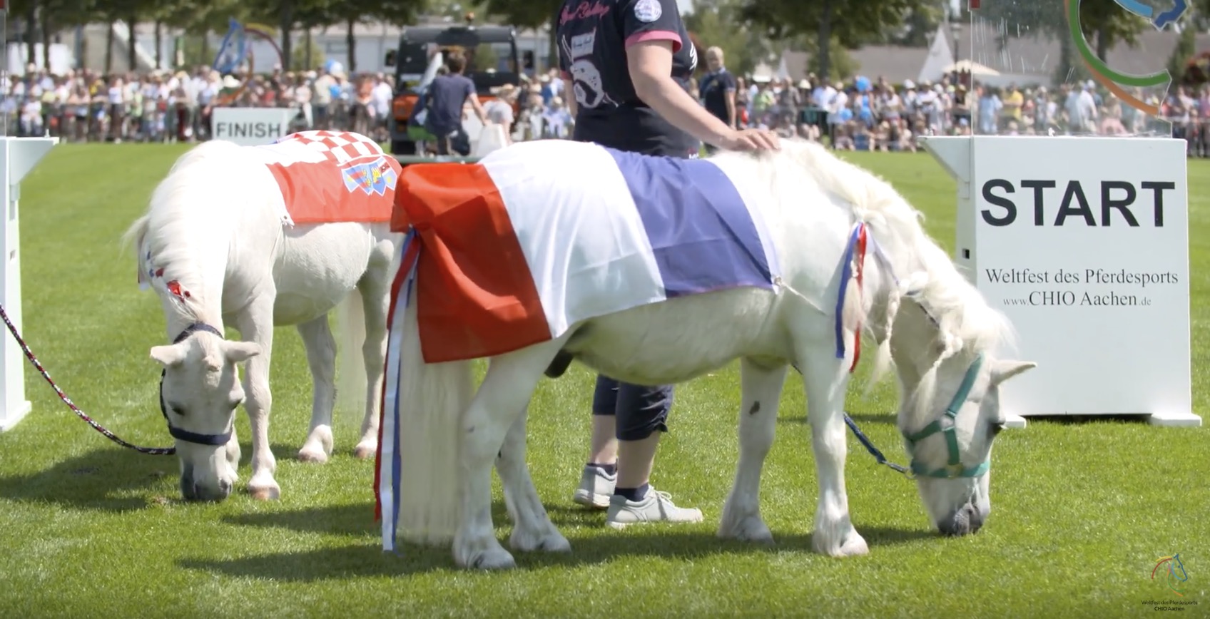 Louise allen has been immersing herself in history, real and fictional, for as long as she can remember, and her first attempt at historical fiction at the age of eight was three pages of improbable medieval drama set in the local castle. Pony Correctly Predicted the Winner of the FIFA World Cup™