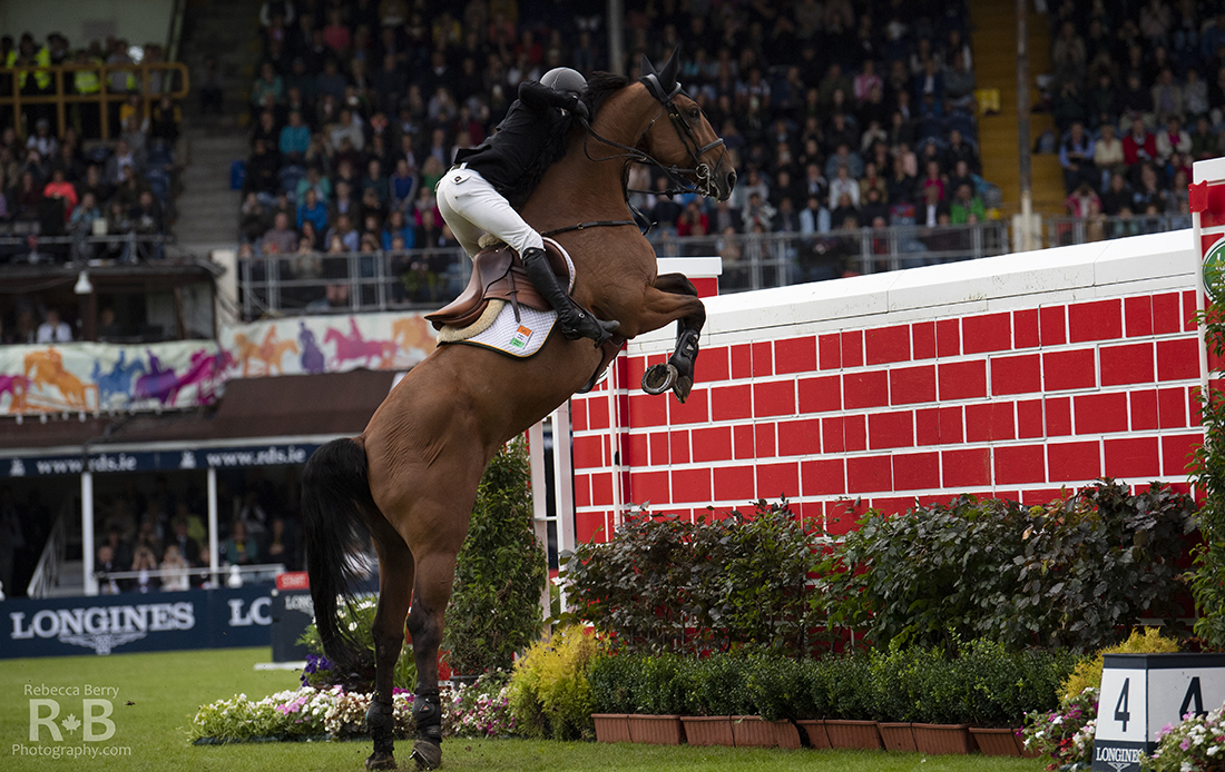 Dublin Horse Show 2023 Live, 60 OFF