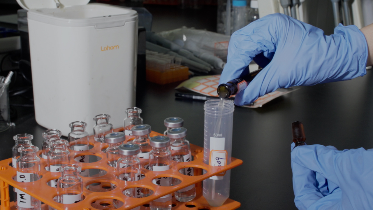 Trimethylamine Detection in AnimalDerived Medicine by Headspace GCMS