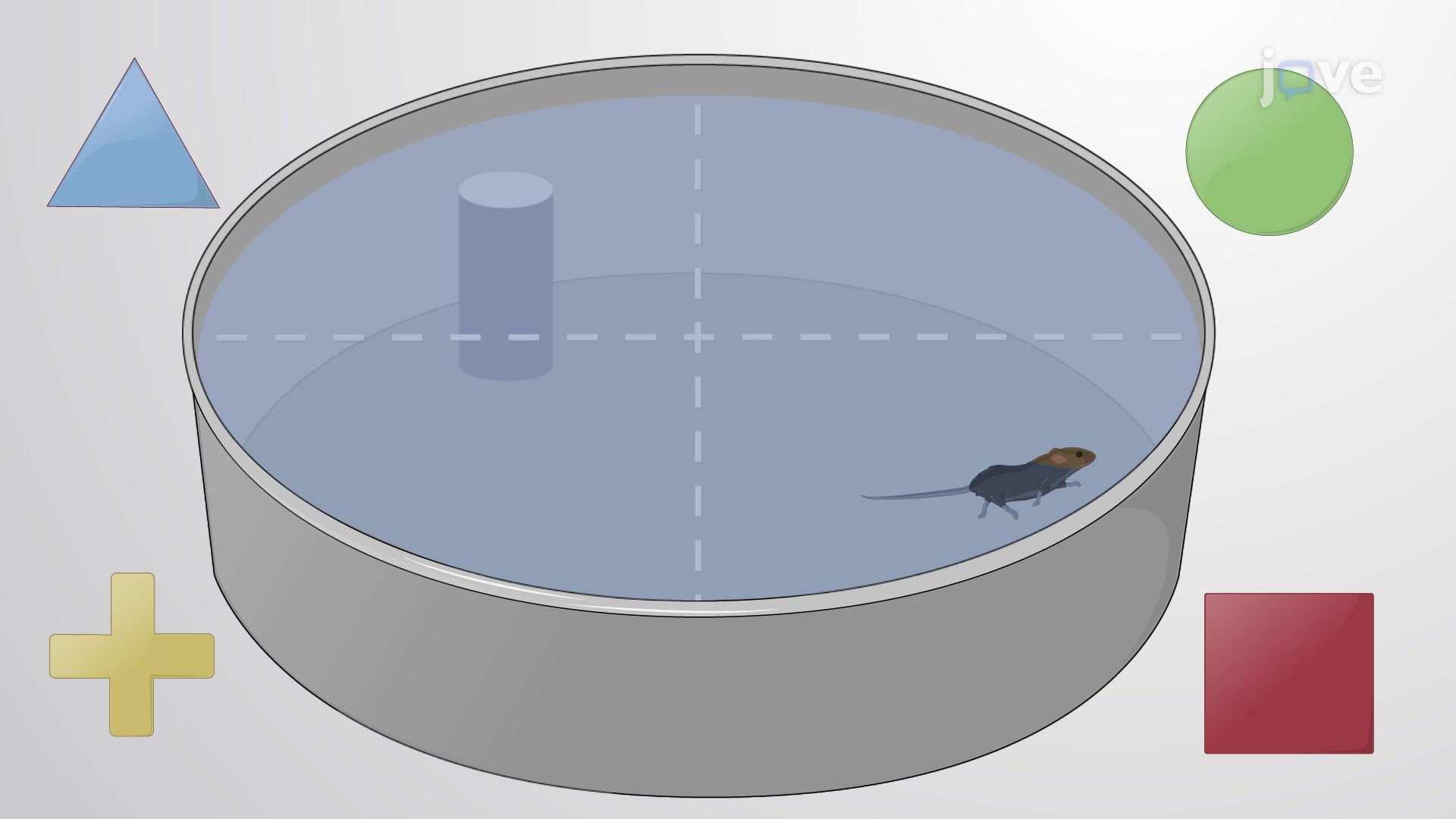 The Water Maze with Platform Relocation A Method to Assess Working