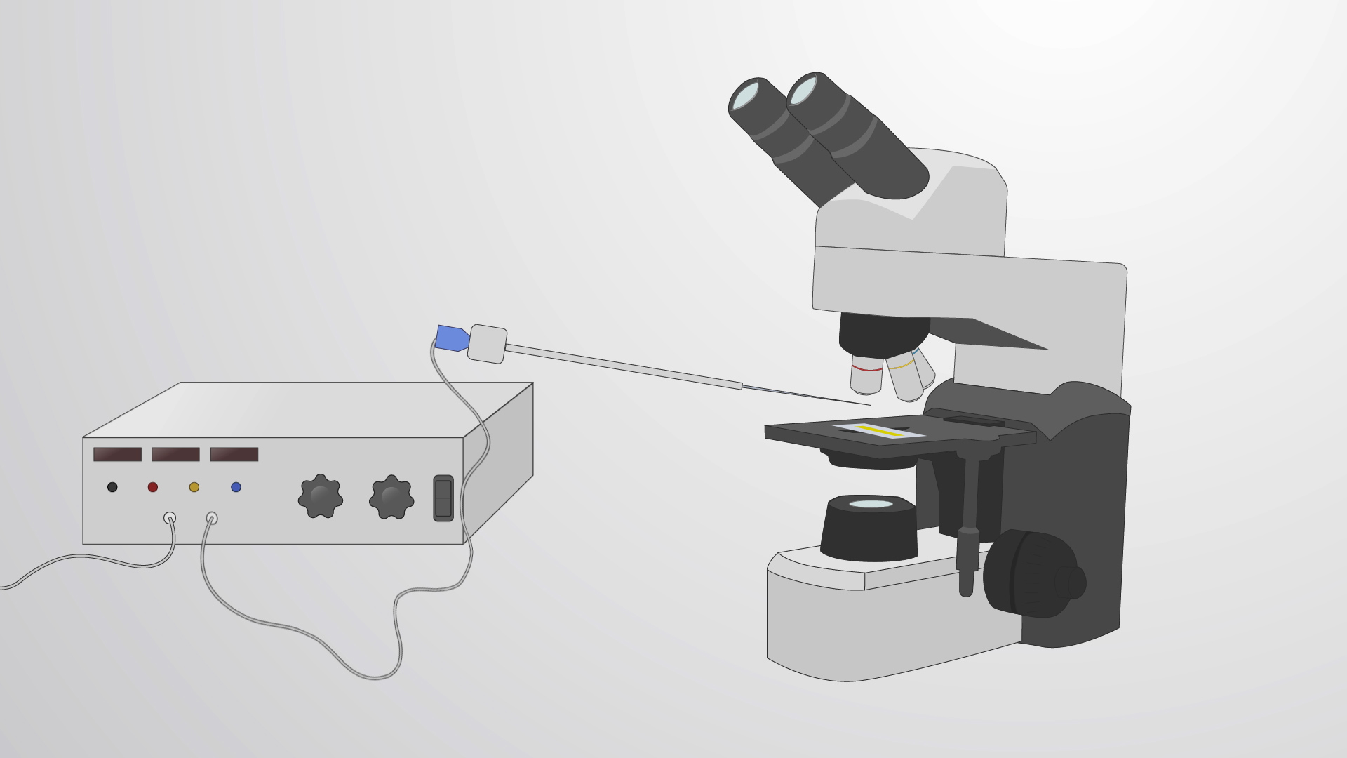 Microinjection of Live Drosophila Embryos Early Delivery of Reagents