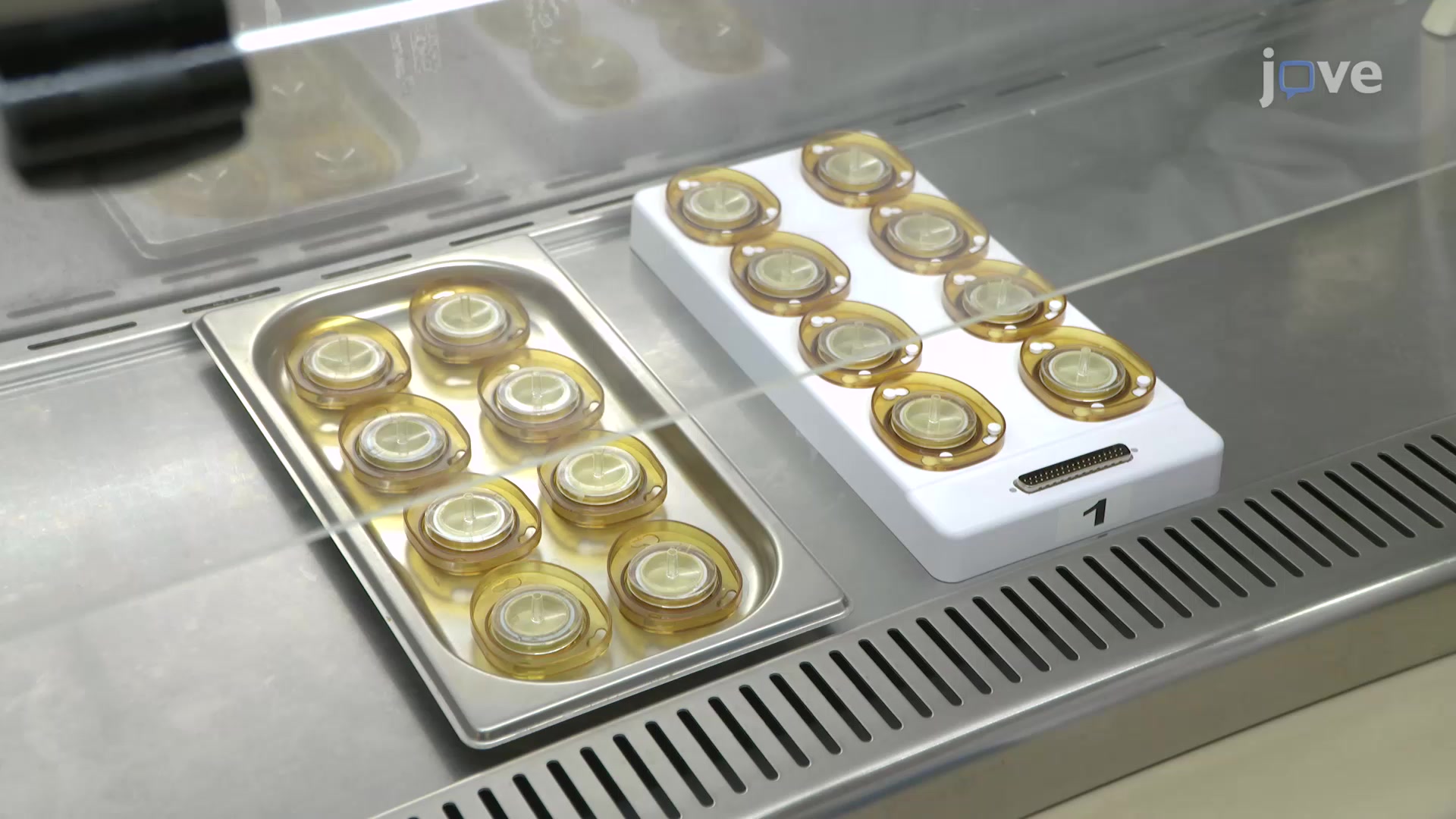 Determining Optimal Inhibitory Tumor Treating Field Frequency for