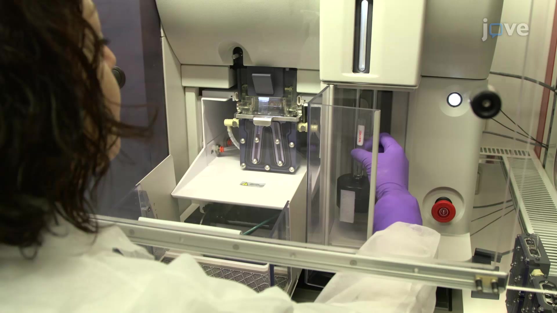 Cancer Side Population Discrimination Assay A Method to Isolate Cancer