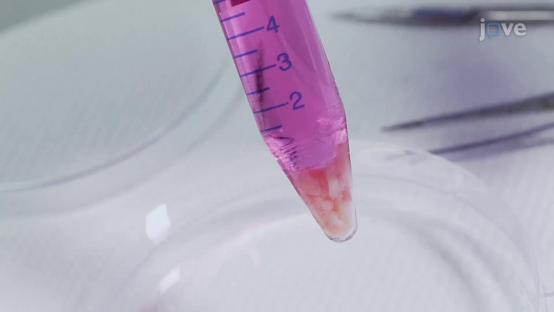 Vitrificationbased Cryopreservation An Ultrarapid Cooling Technique