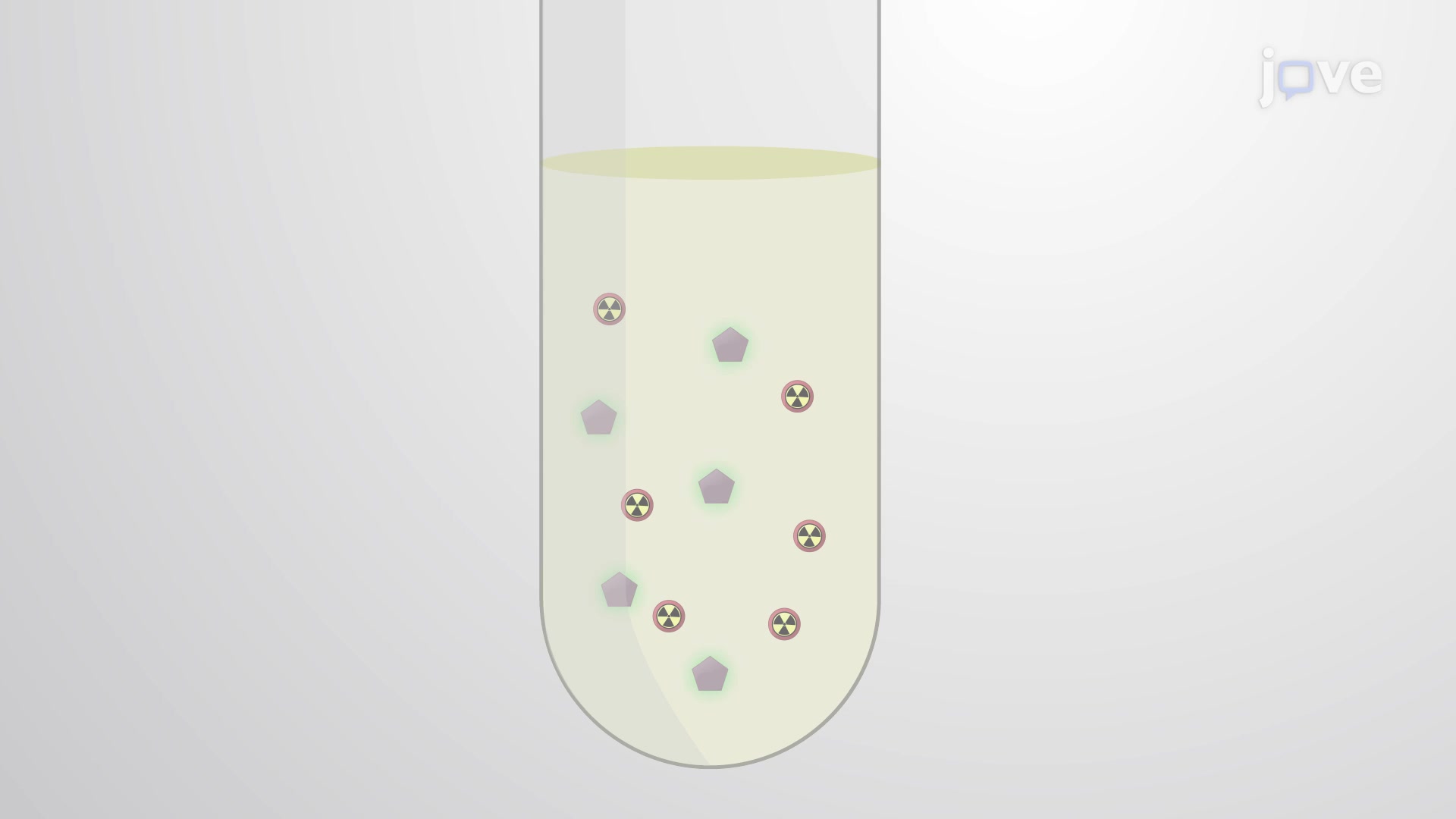 Radiolabeled Amino Acid Uptake Assay to Quantify Cellular Uptake of
