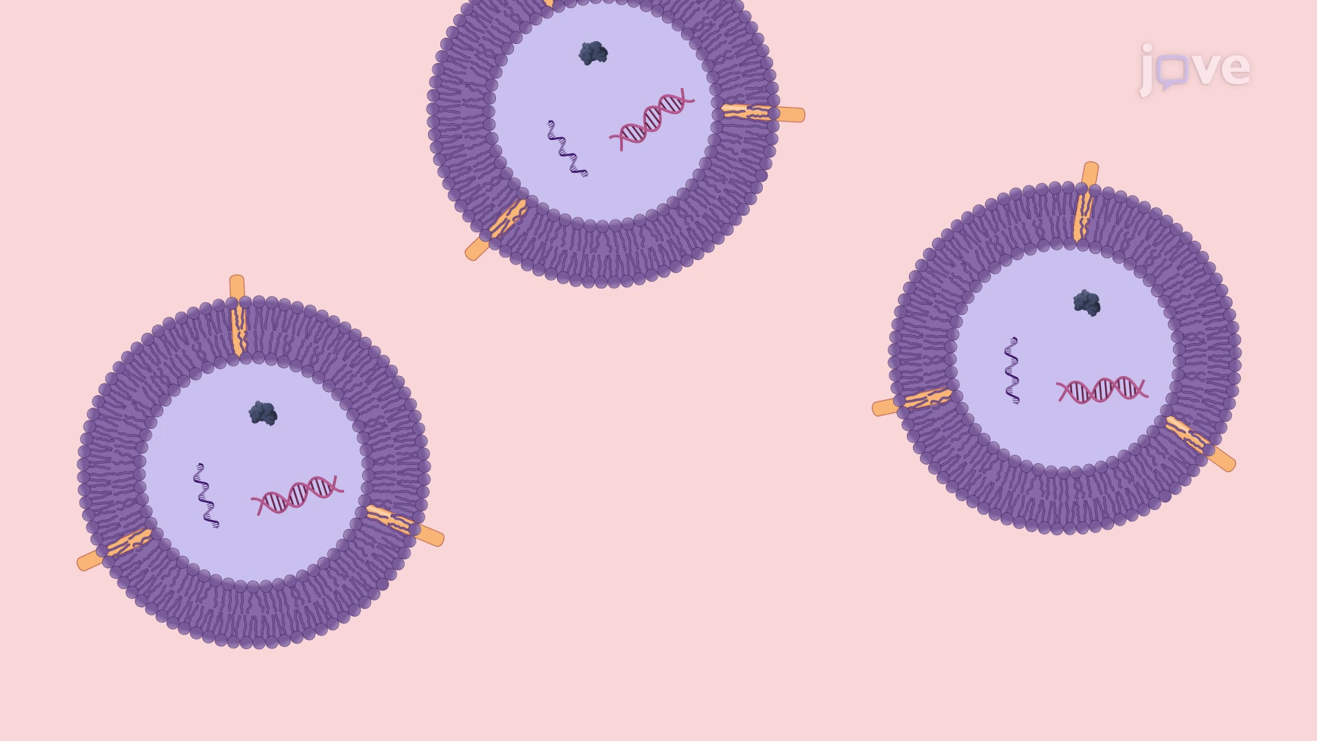 癌研究、問題175、ガンマデルタ(γδ)T細胞、ガンマデルタT細胞薬剤製品、cGMP、細胞療法、ゾメタ、ゾレドロン酸、遺伝子組み換えK562
