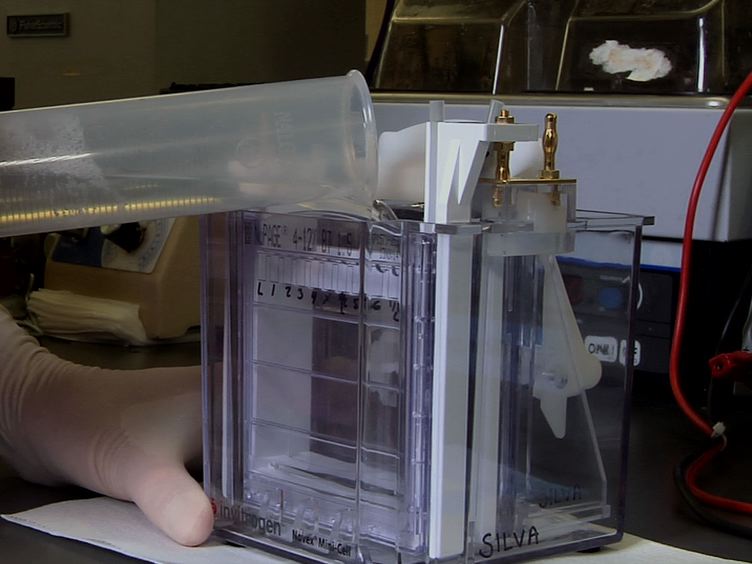 The Fastest Western in Town A Contemporary Twist on the Classic