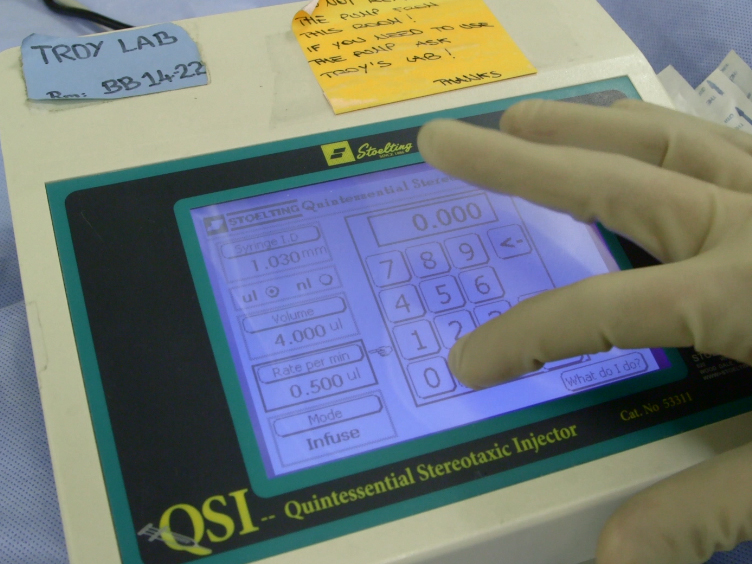 Stereotaxic Infusion of Oligomeric Amyloidbeta into the Mouse