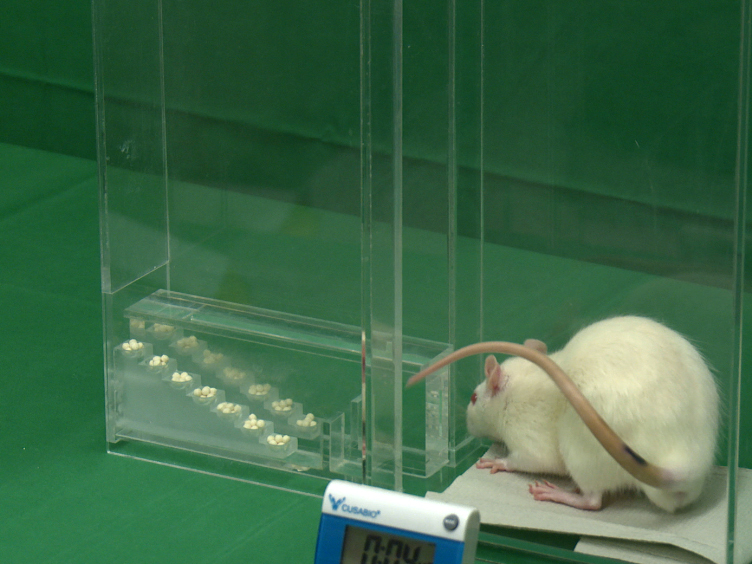 a novel approach to assess motor of deep brain stimulation effects in the