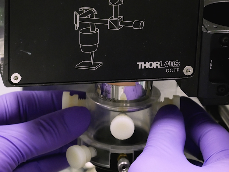 Novel Photoacoustic Microscopy and Optical Coherence Tomography Dual