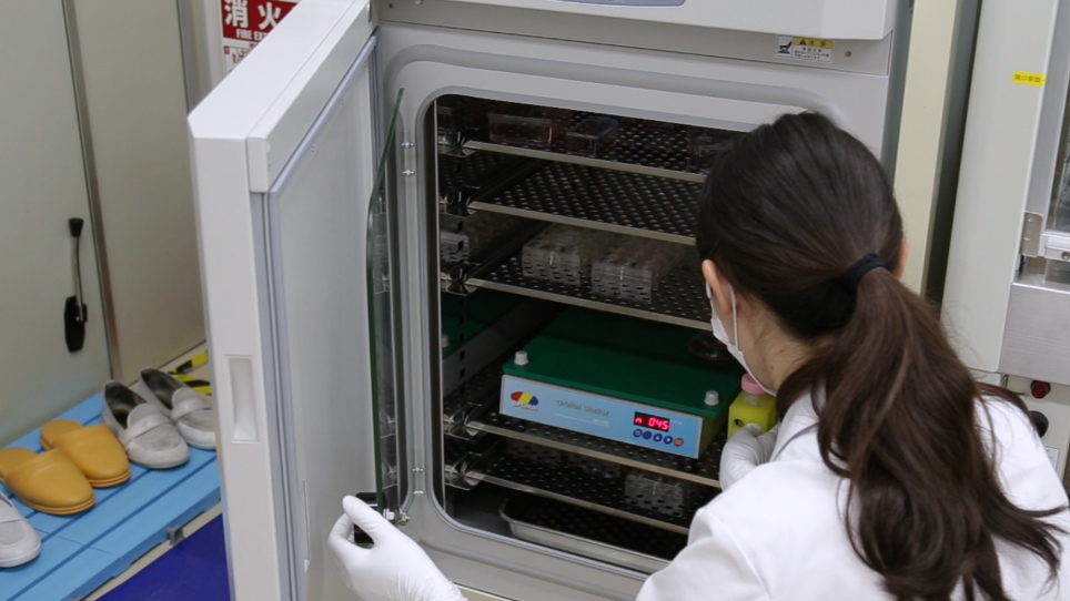 An Orbital Shaking Culture of Mammalian Cells in Oshaped Vessels to