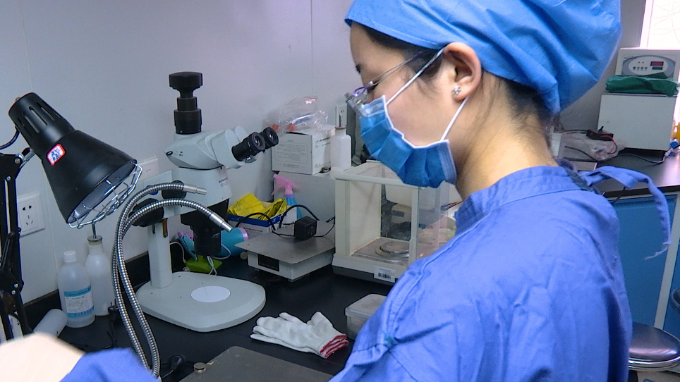 A Pleural Effusion Model in Rats by Intratracheal Instillation of