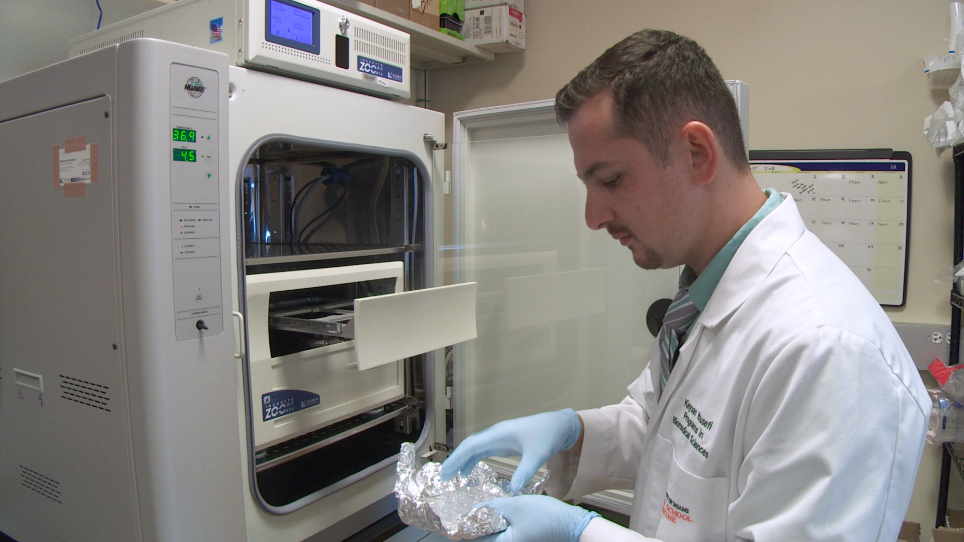 LDL Cholesterol Uptake Assay Using Live Cell Imaging Analysis with Cell