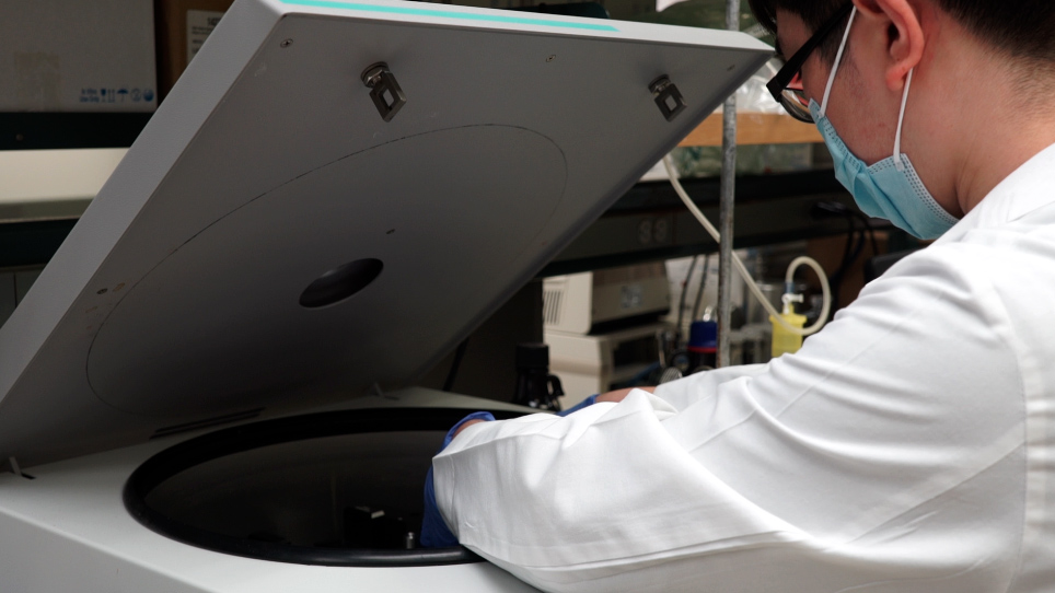 An Automated Differential Nuclear Staining Assay for Accurate