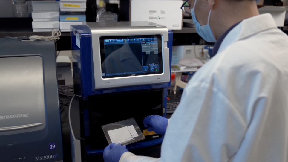 UltraHighSpeed Western Blot using Immunoreaction Enhancing Technology