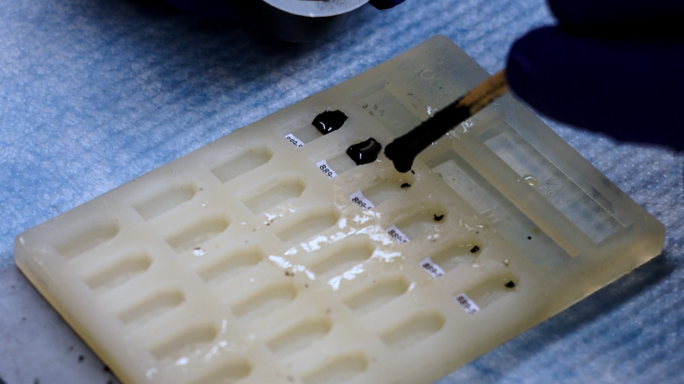 Serial BlockFace Scanning Electron Microscopy (SBFSEM) of Biological