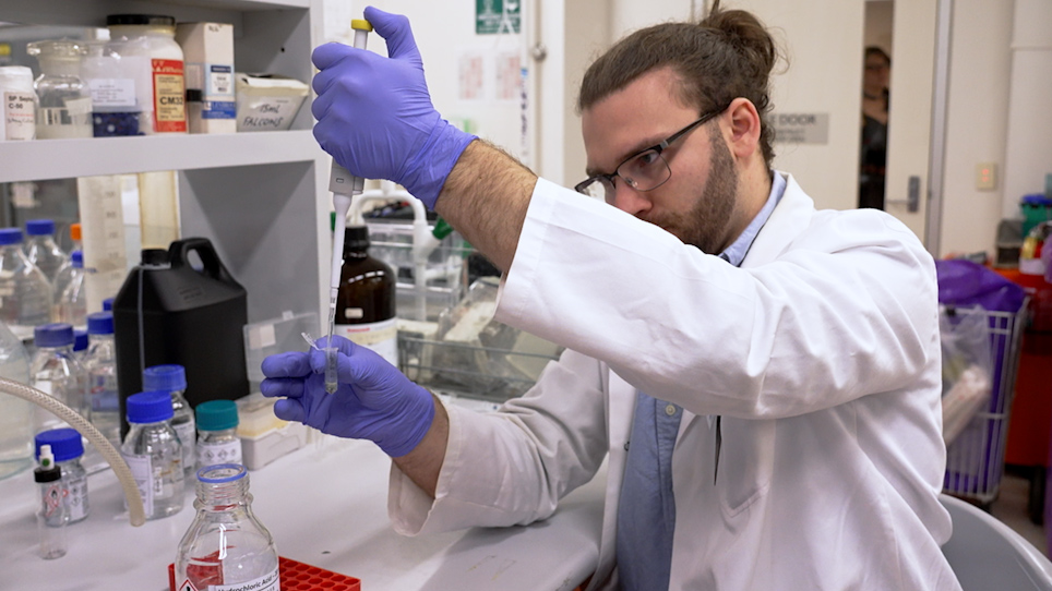 Extraction of NonProtein Amino Acids from Cyanobacteria for Liquid ChromatographyTandem Mass