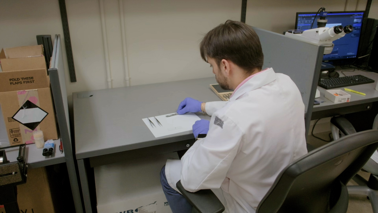 Author Spotlight Development of BioHybrid AFM Cantilevers for