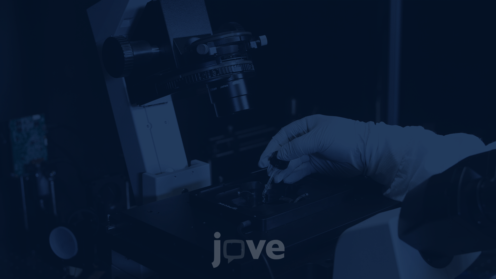 Enhancing Upper Limb Function and Motor Skills PostStroke Through an