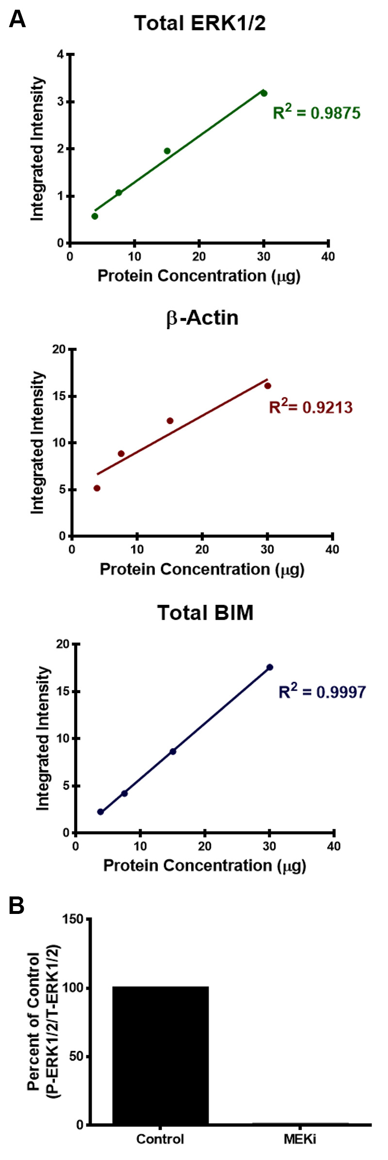 The Fastest Western in Town A Contemporary Twist on the Classic