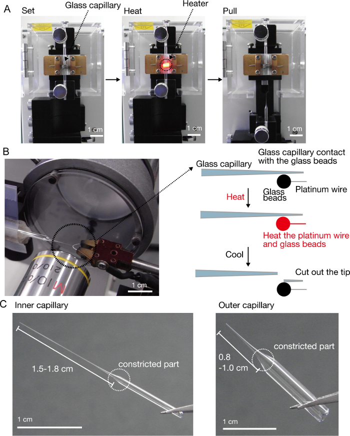 Capillarybased Centrifugal Microfluidic Device for Sizecontrollable