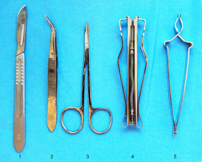 An Orthotopic Mouse Model of Spontaneous Breast Cancer Metastasis