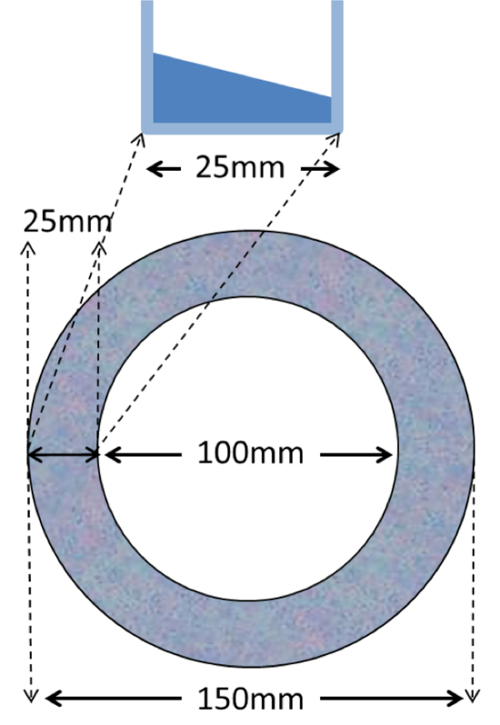 The Assembly and Application of 'Shear Rings' A Novel Endothelial