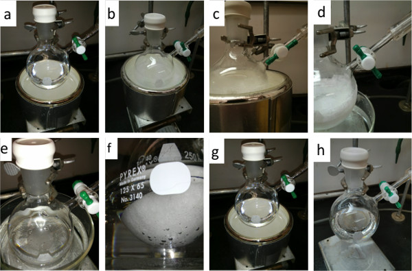 Degassing Liquids With Freeze-Pump-Thaw Cycling | Organic Chemistry | Jove