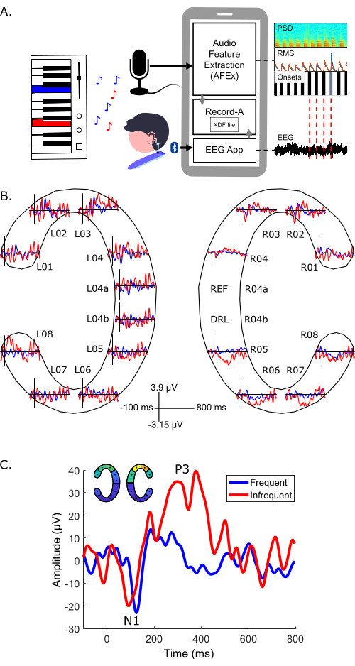 Recording Brain Activity with EarElectroencephalography Text Page