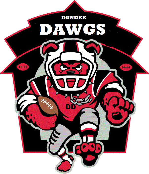 Laingsburg Fantasy Football LeagueFB RealTime Fantasy Sports