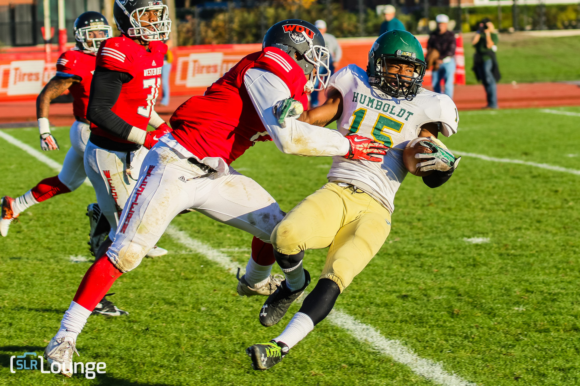 Canon 7D Mk II, A Sports & Wildlife Perspective Review