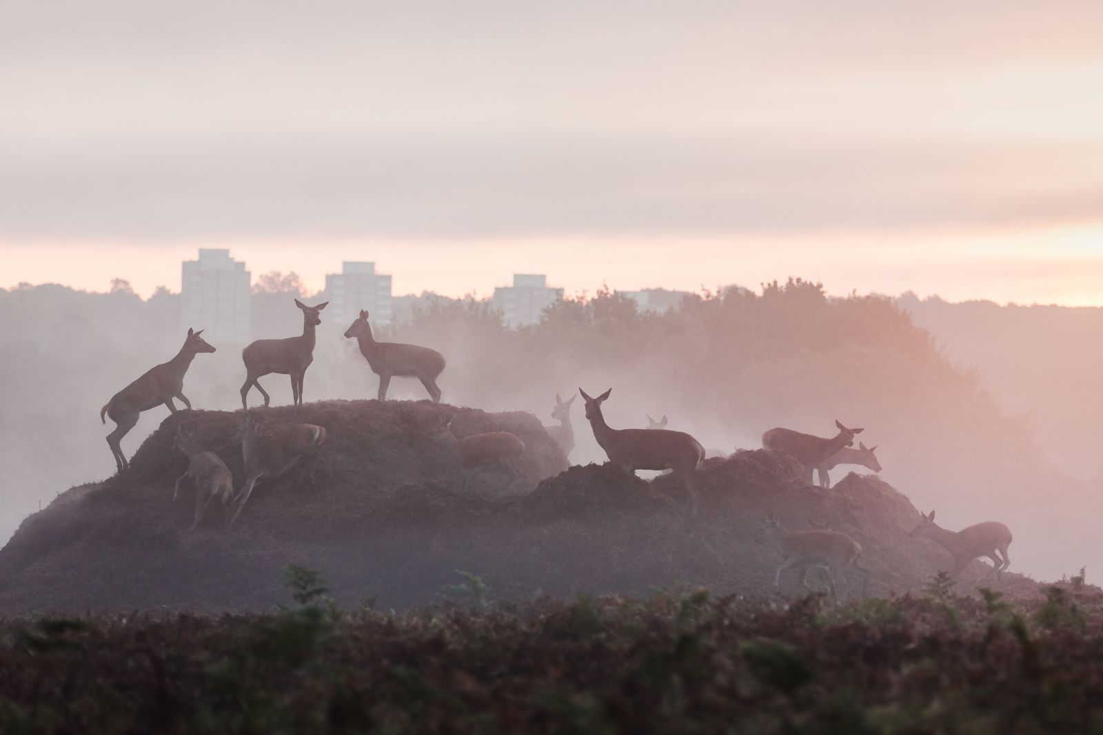 Color Grading In 5 Ways To Manipulate Color