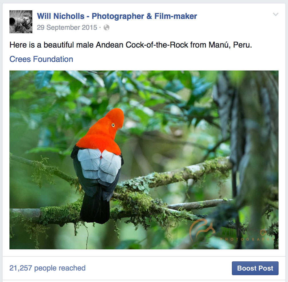How to Advertise Your Photography Business on Facebook