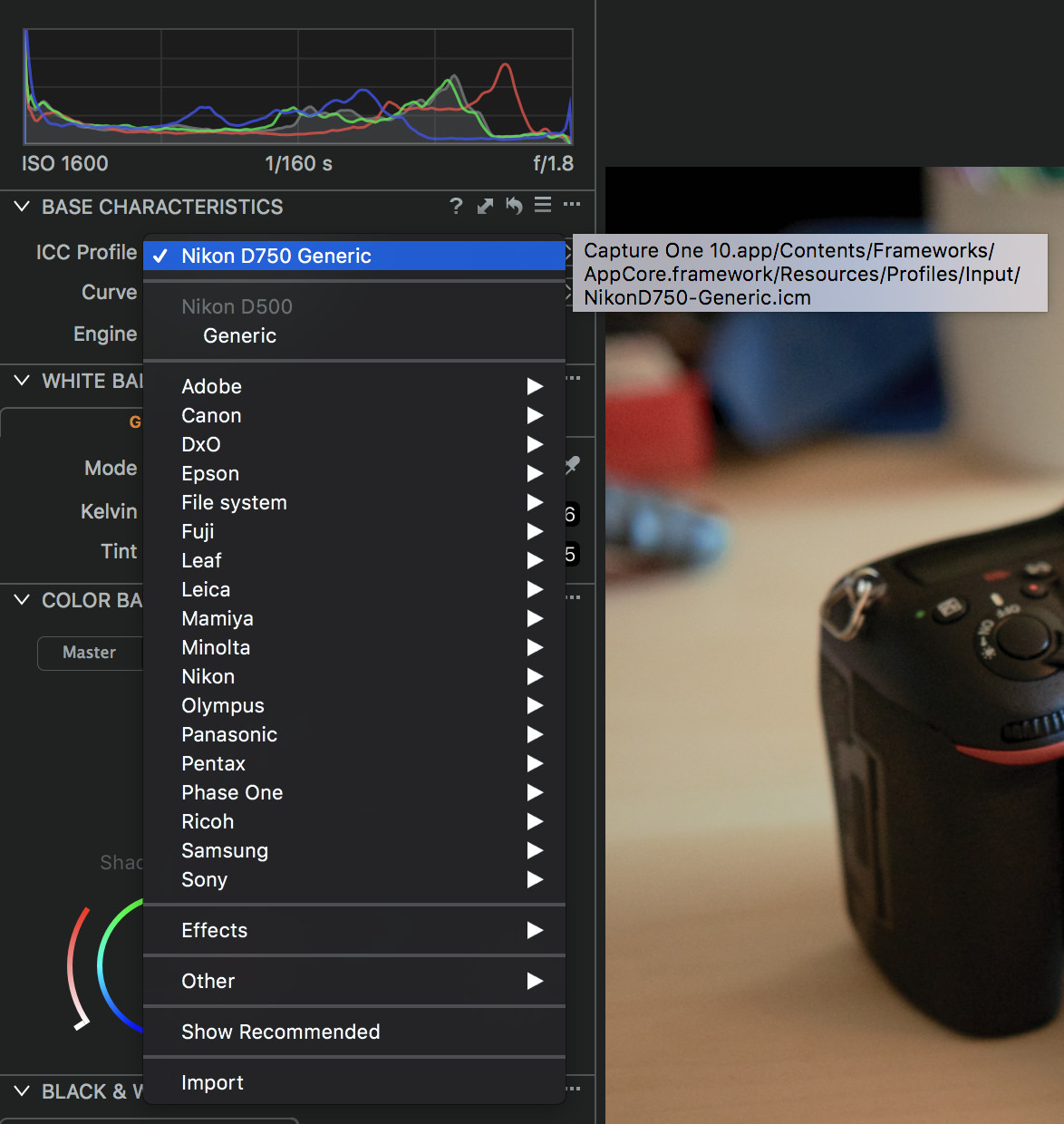 How to Use Lightroom Presets in Capture One Jailbreak Your Presets
