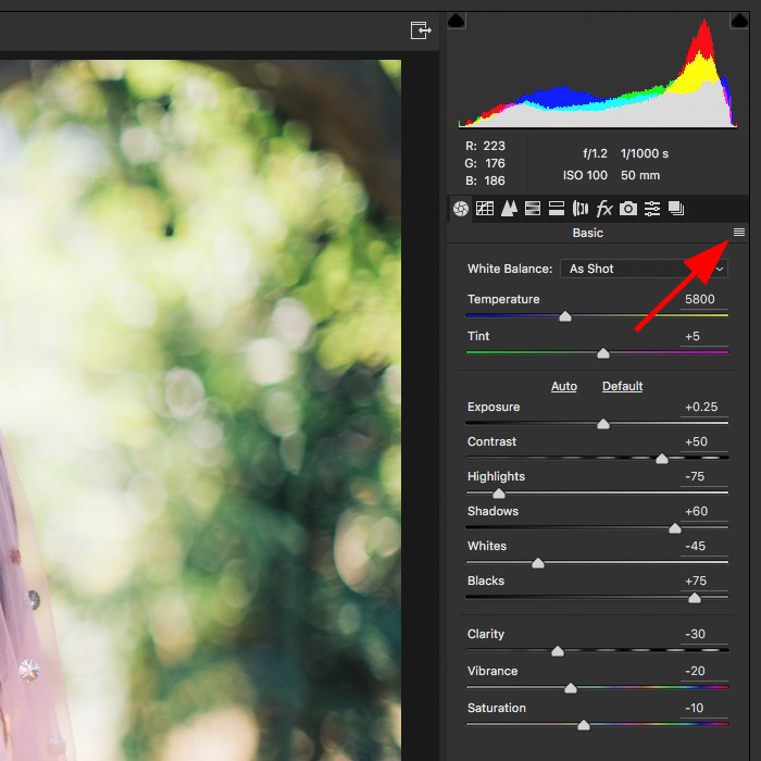Guide to Adobe Camera Raw Presets