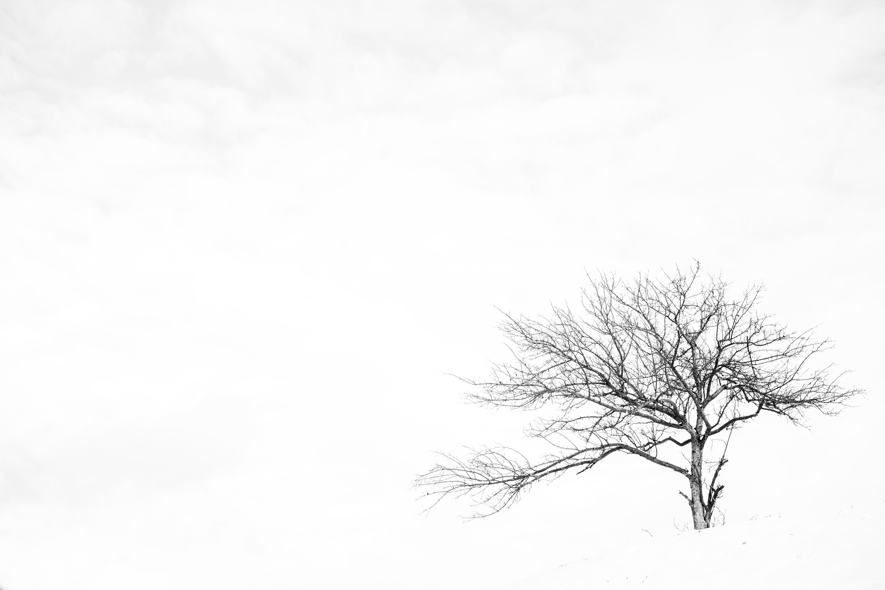 Minimalist Photography Definition What is Minimalist Photography by