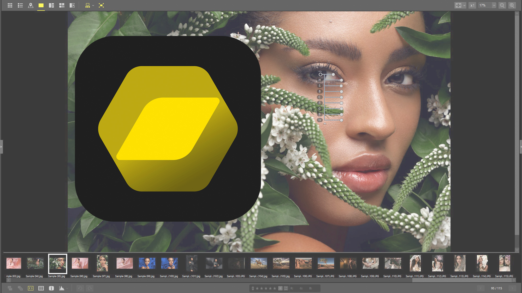 Nikon Releases NX Studio Their New FREE Photo & Video Editing Software