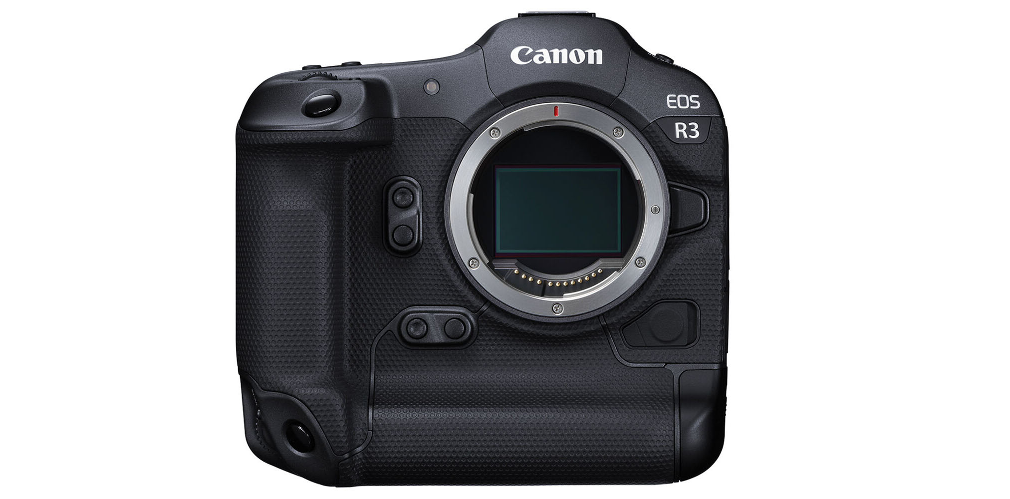 The Best Canon Camera (For Photography) Mirrorless & DSLR