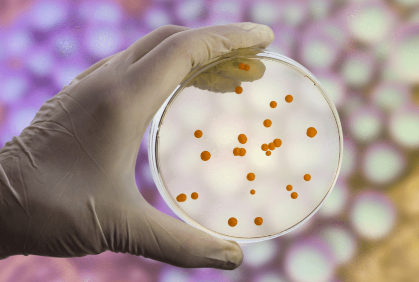 Superbugs Strategies to help combat antibiotic resistance