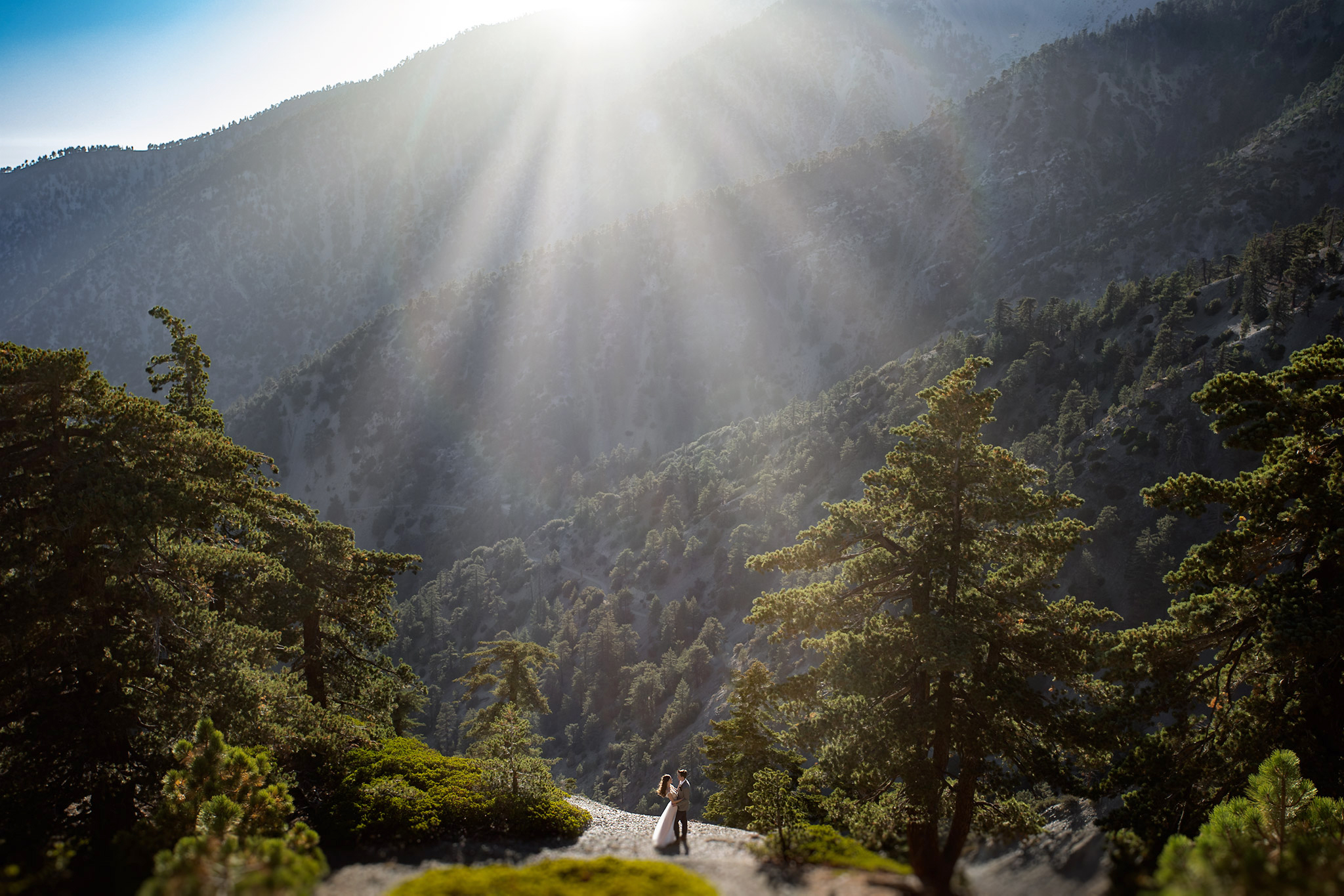 30 Stunning Examples of Sun Flare Photography Wedding Maps