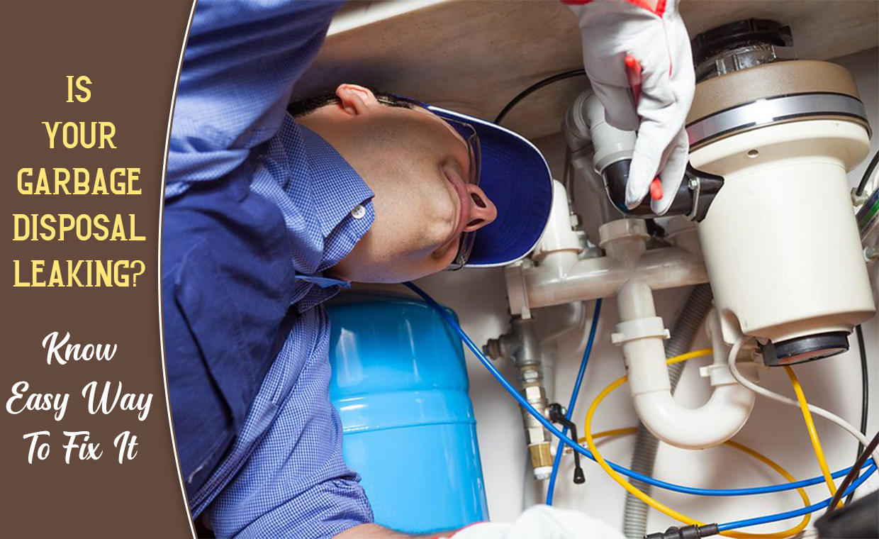 How To Fix Garbage Disposal Leak Quick And Easy Solutions The Review