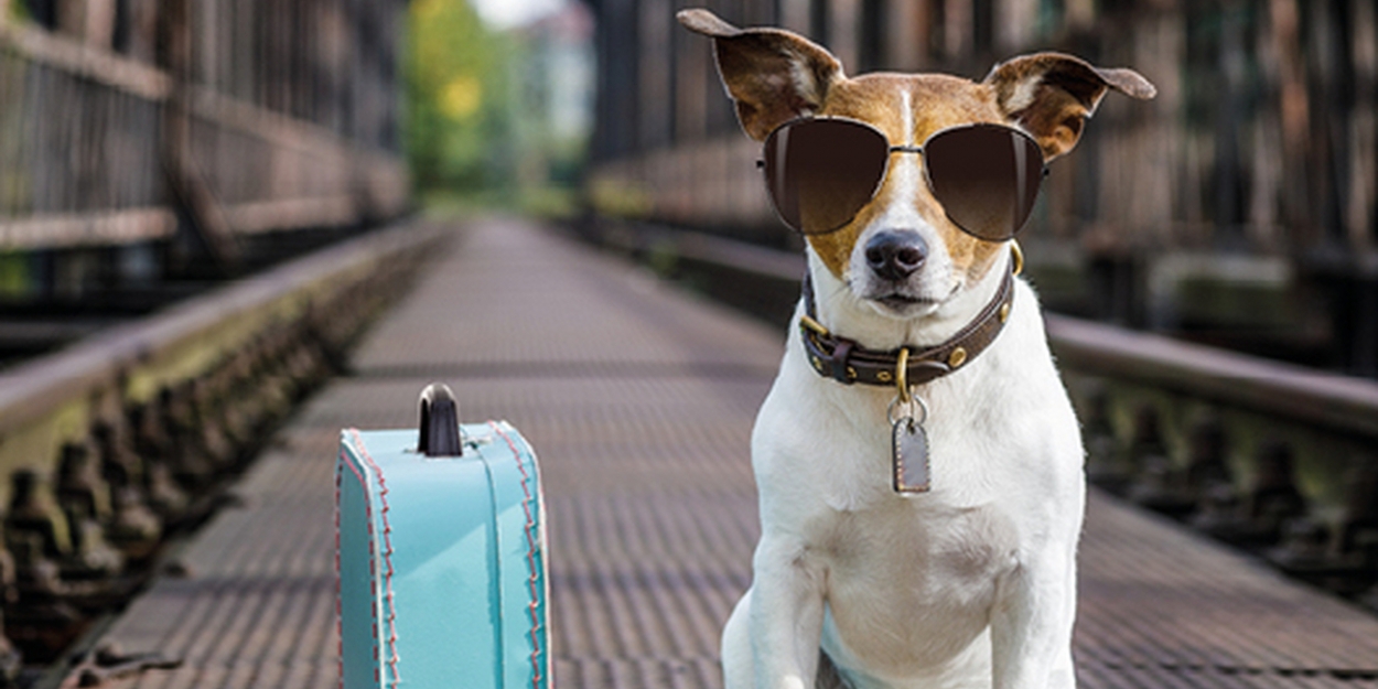 Victoria Yeates Leads THE DOG WALKER At Jermyn Street Theatre