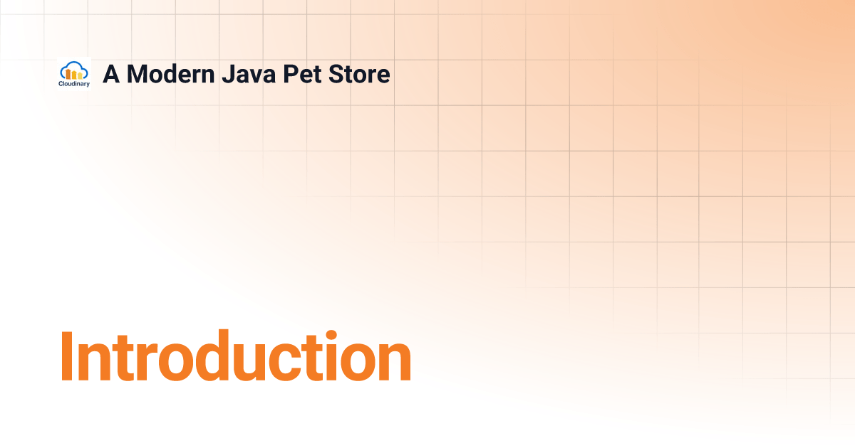 Introduction A Modern Java Pet Store