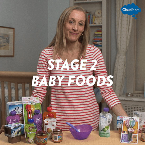 Stage 2 Baby Foods CloudMom
