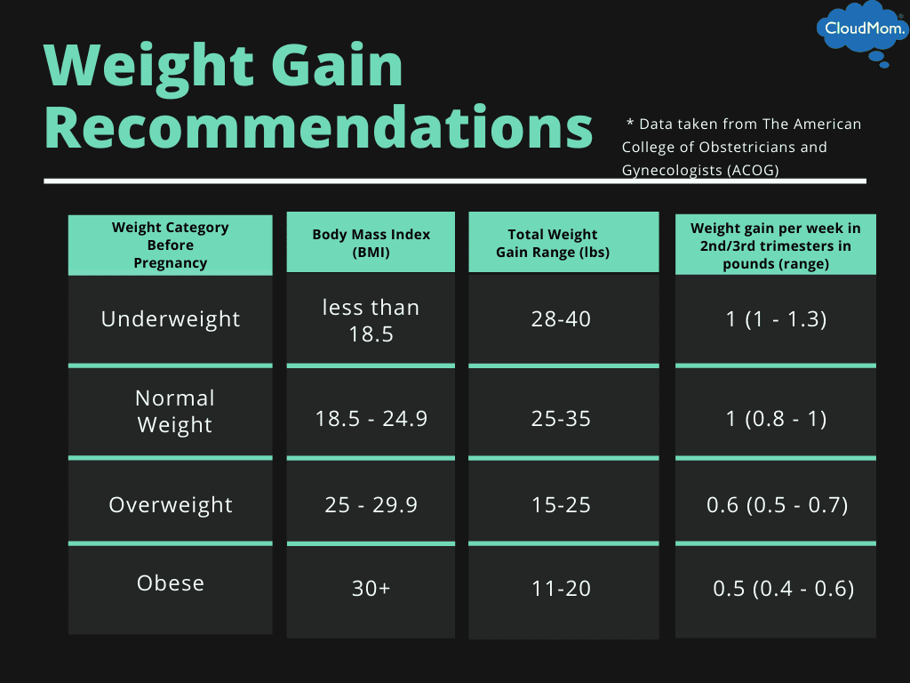 13 Weeks Pregnant | CloudMom