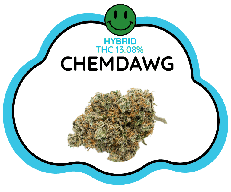 Chemdawg Cloud Nine Thailand