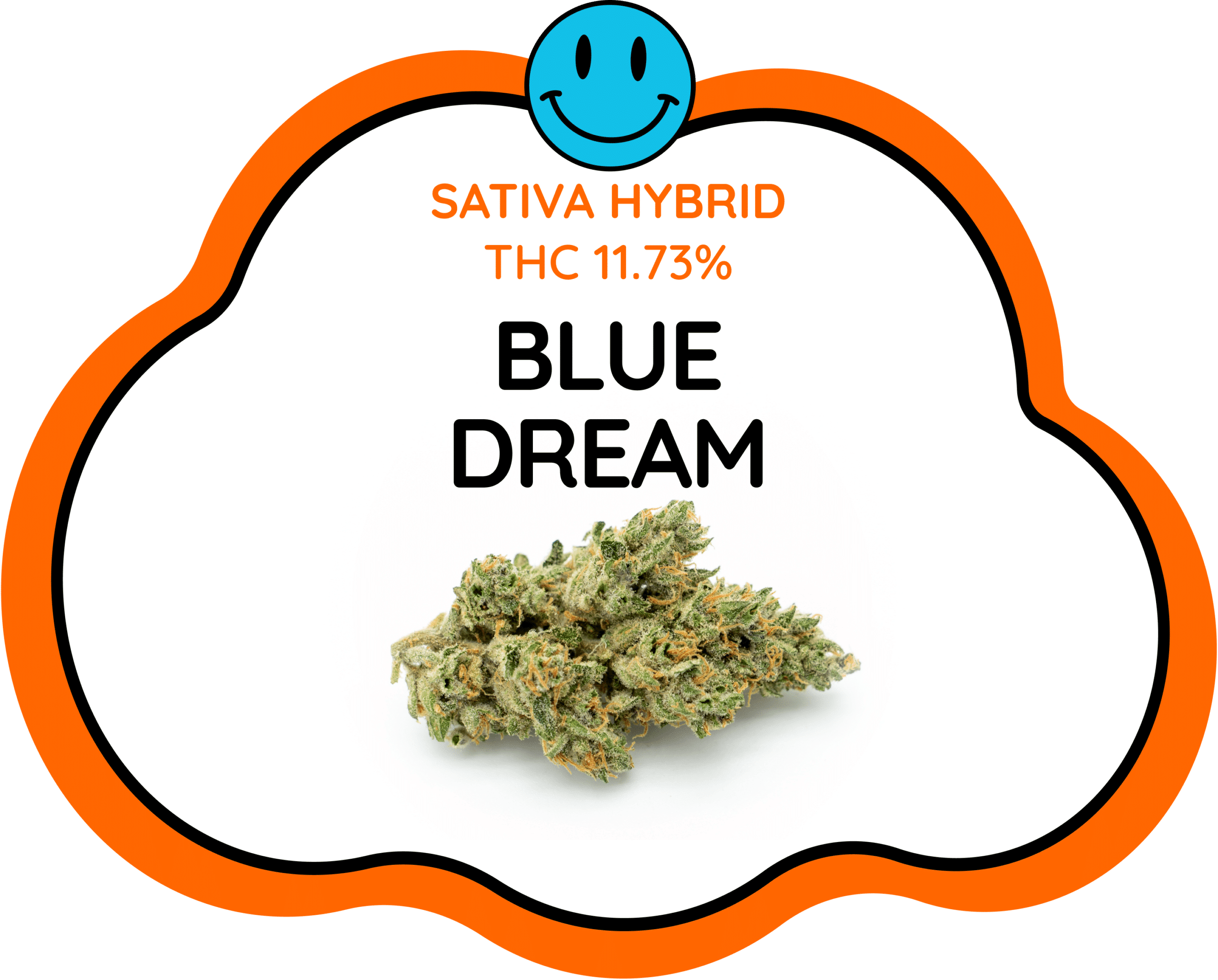 Blue Dream Strain Cloud Nine Thailand