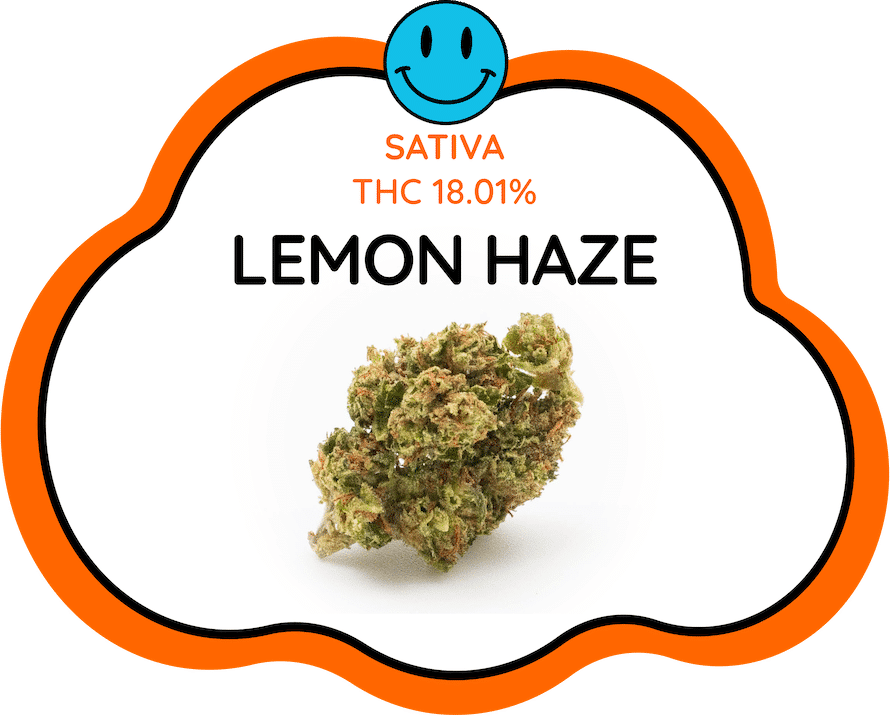 Lemon Haze Cloud Nine Thailand