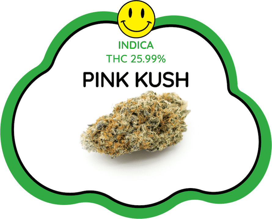 Pink Kush Cloud Nine Thailand