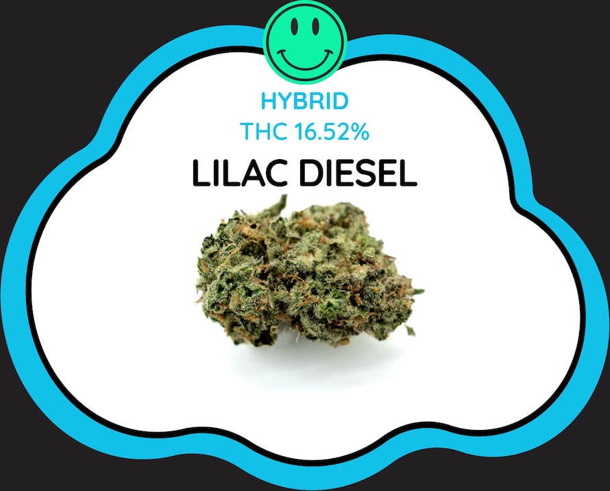 Lilac Diesel Cloud Nine Thailand